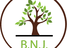 BNJ Health Services LLC Baltimore MD