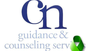 Central Nassau Guidance and Counseling Addiction Recovery Treatment Services Hicksville NY