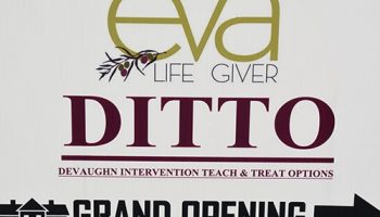 DeVaughn Intervention Teach and Treat Options (DITTO) Eva Life Giver Baltimore MD