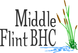 Middle Flint Behavioral Healthcare Americus GA