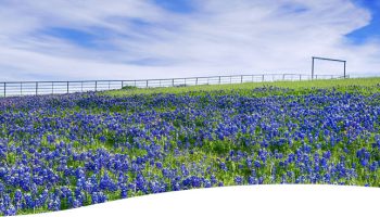 River Crest Hospital San Angelo TX