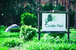 Conifer Park Inc MSW IP Schenectady NY