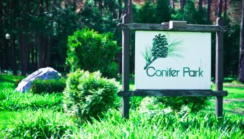 Conifer Park Inc MSW IP Schenectady NY
