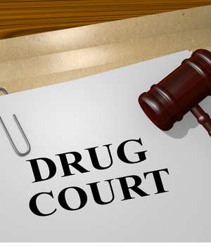 drug court paperwork