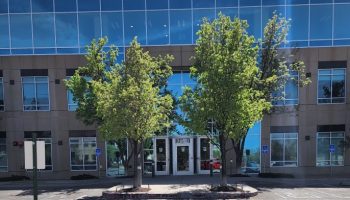 Sage Neuroscience Center