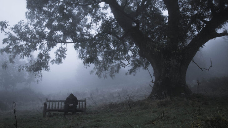 A person sits on a bench in a rather dreary scene next to a tree