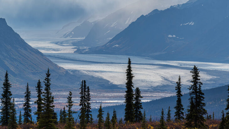 Alaska opioid detox for inmates