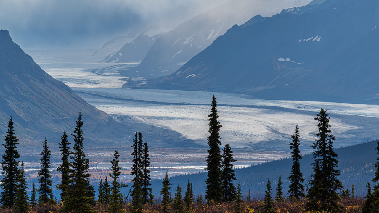 Alaska opioid detox for inmates