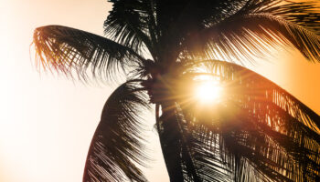 San Diego Medical Detox