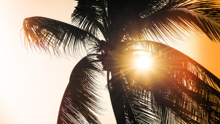 San Diego Medical Detox