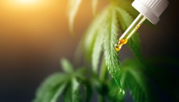 cannabidiol thc alcohol detox