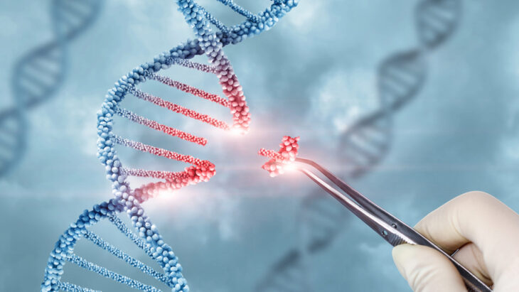 gene therapy and opioid addiction