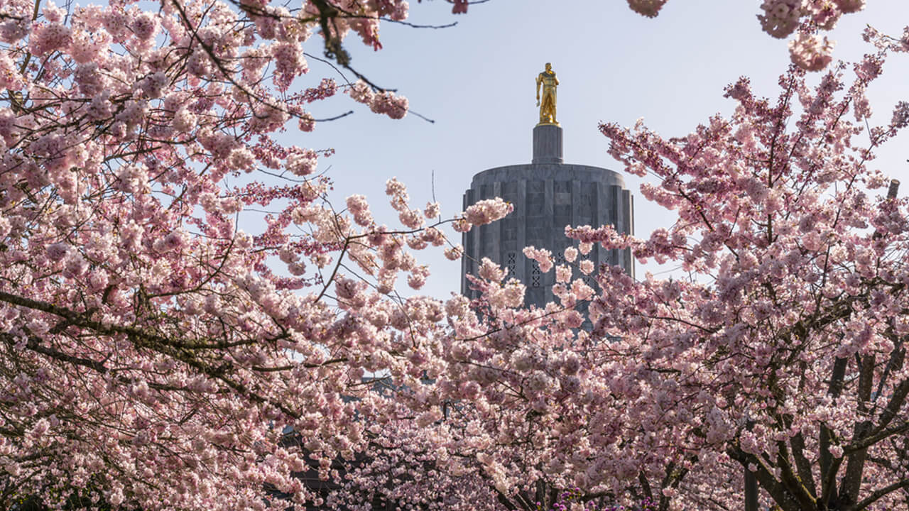 medical detox in Salem