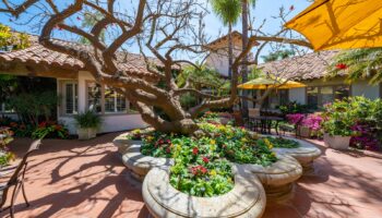 Casa Palmera Los Angeles