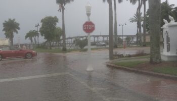 Exterior view of wet parking lot with palm trees, street lamp, and facility buildings in rainy conditions