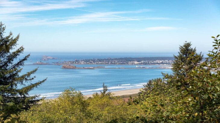 medical detox in California