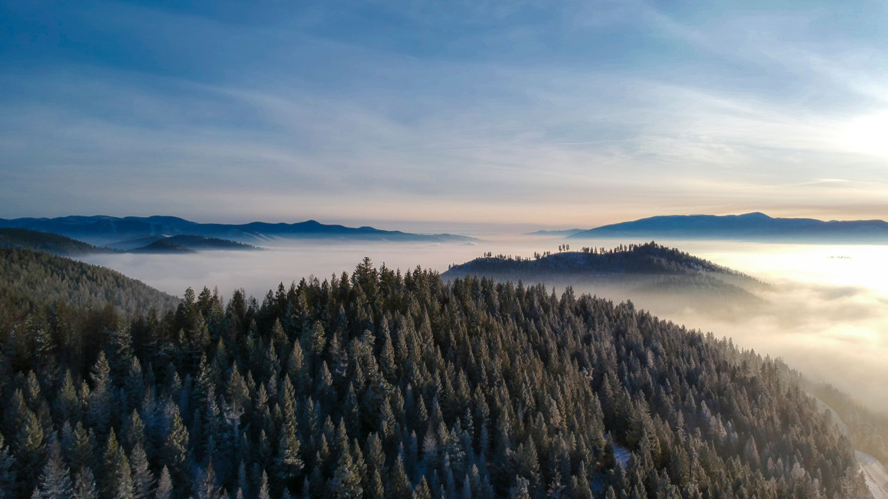 detox in montana
