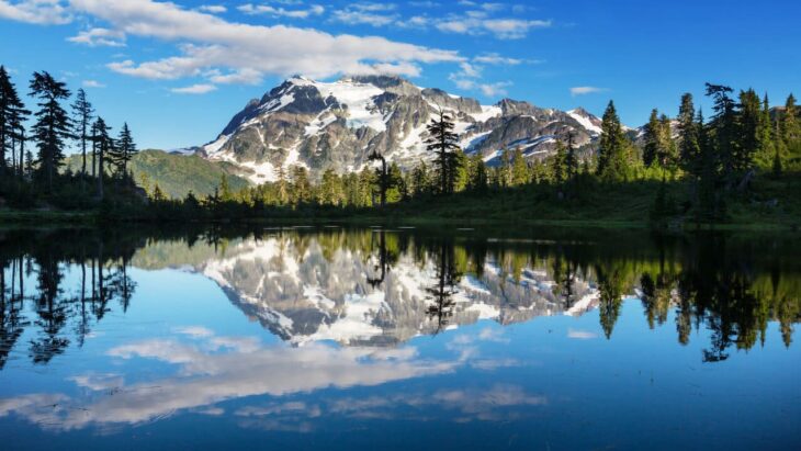 medical detox in washington state