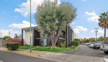 Exterior view of modern treatment facility building with large olive tree, parking area, green lawn, and contemporary architecture