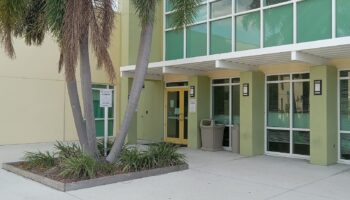 Exterior entrance overhang with palm tree, turquoise windows, yellow door frame, and landscaping