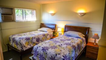 Interior patient bedroom featuring two twin beds with floral comforters, wood furniture, nightstands with lamps, and window with blinds