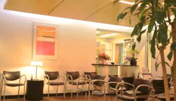 Interior reception area with reception desk, green plant, modern seating chairs, and framed artwork on peach walls