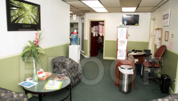DeVaughn Intervention Teach &amp; Treat Options – DITTO