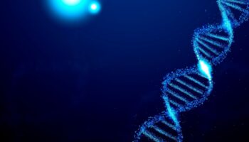 opioid withdrawal gene