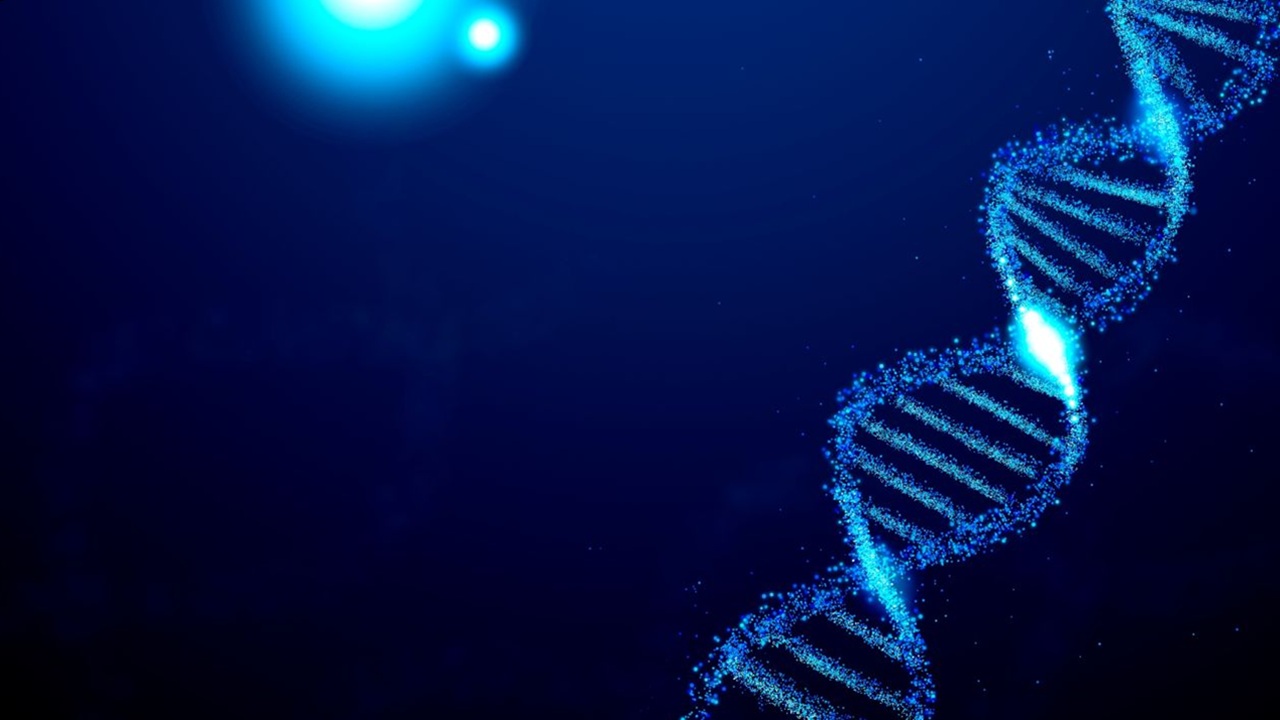 opioid withdrawal gene