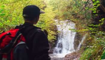 alcohol withdrawal