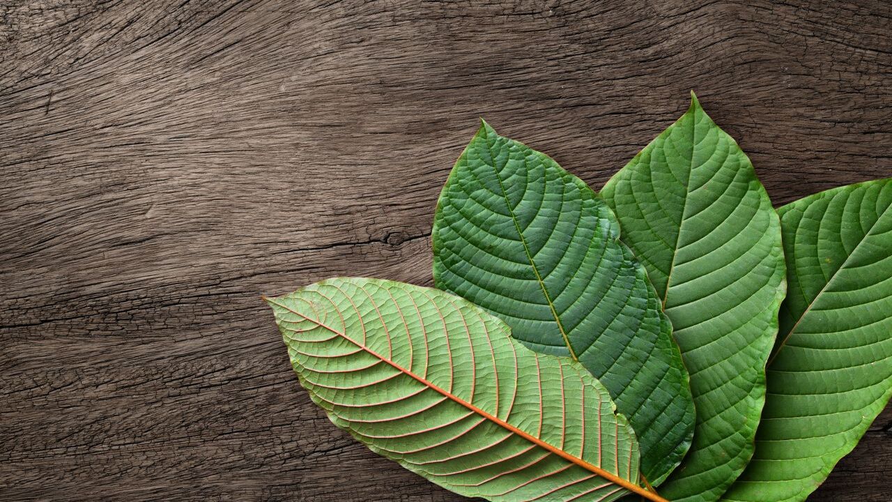 kratom extract withdrawal