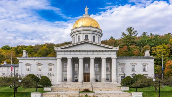 vermont medicaid days