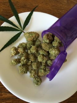 Medical Marijuana