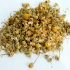 Herbal Medicines