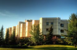 Methadone Detox Centers